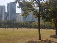-荔香公园