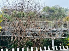 -福道