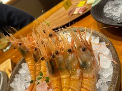 -月龍吟(朝龙汇店)