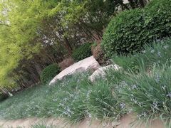 -王德炭烤牛羊肉(西关大街店)