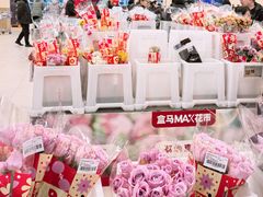 -盒马X会员店(王府井奥莱UP TOWN店)