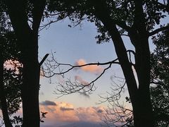 -阳台山森林公园