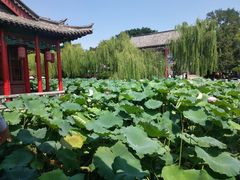-金春禧(世茂国际广场店)