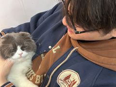 -李小姐の猫咖啡馆(五角场店)