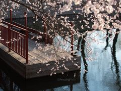 -颐和园