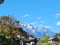 -嘉华鲜花饼(四方街旗舰店)