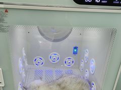 -爱洗澡的猫(望京店)