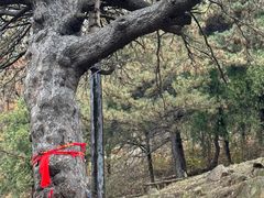 -泰山风景名胜区-普照寺