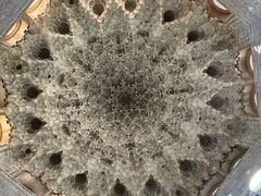 -阿尔罕布拉宫