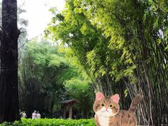 -晓港公园