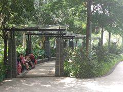-王借岗森林公园