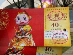 -金沙遗址博物馆