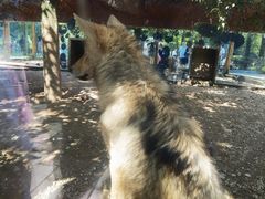 -贵州森林野生动物园