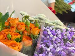 -双季花艺园艺市场(浦东店)