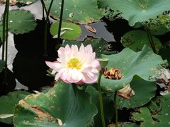 -厦门园林博览苑