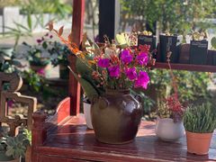 -龙井源餐厅(龙井峡漂流店)