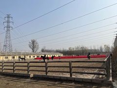 -北京群众马术培训基地