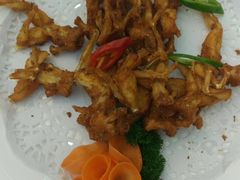 -轩记海鲜餐厅·四十五年老字号·经典粤菜(西区彩虹店)