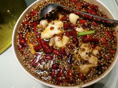 -眉州东坡(民族园店)