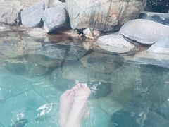 -张家港金凤凰度假村温泉