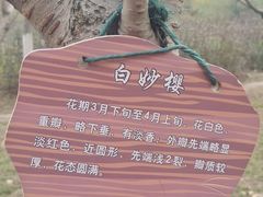 -南溪山景区