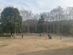 -习家池