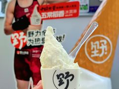 -野人先生现做冰淇淋(北京悠唐购物中心店)