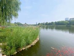 -西海子公园