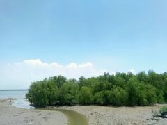 android_upload_pic-海鸥岛