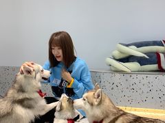 -Husky Go!哈士奇体验馆·宠物咖啡厅狗咖