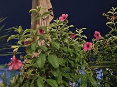 -故里和山·成都火锅(欢乐港湾店)