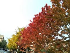 -辽宁大学(崇山校区)