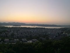 -孙奶奶葱包桧