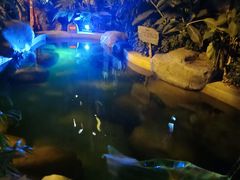 -稷泽·海丽宾雅温泉度假酒店