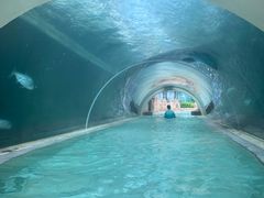 -新加坡水上探险乐园