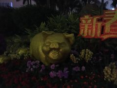 -东风公园