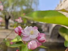 -海棠花溪(元大都城垣遗址公园)
