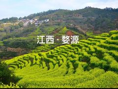 -婺源风景区