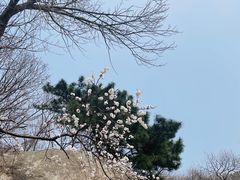 -天津盘山风景名胜区