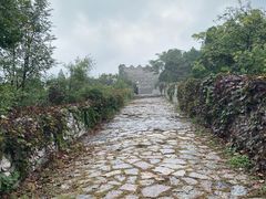 -原山国家森林公园