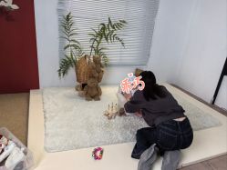-西瓜庄园儿童摄影