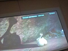 -华夏良子·足道SPA艾灸(翠微店)