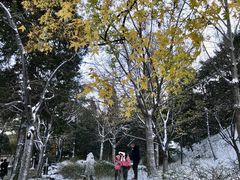 -香山公园