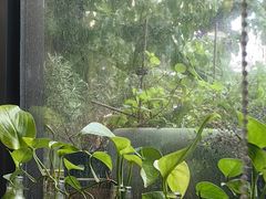 -LIFE'S拉啡斯(客天下·君临长安店)