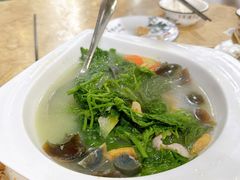 上汤桑叶-苏记餐厅(叠南店)