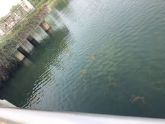 -苏州太湖国际会议中心