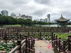-南宁南湖公园