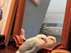 -Bai Meow法式西点咖啡