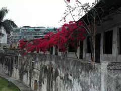 -石炮台公园
