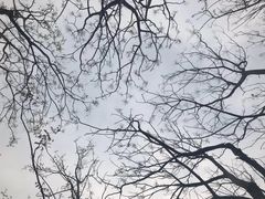 -尚贤河湿地